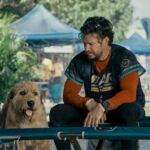 Trotz Tierhaar-Allergie: Mark Wahlberg liebt seine Hunde
